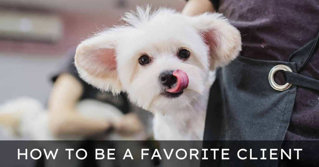 How to be your dog groomer's favorite client